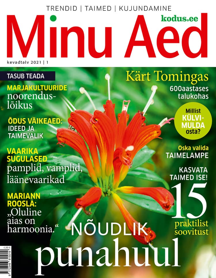 MINU AED KEVADTALV 2021