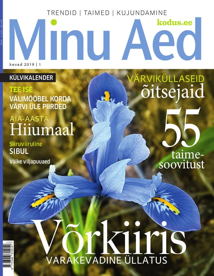 MINU AED KEVAD 2019