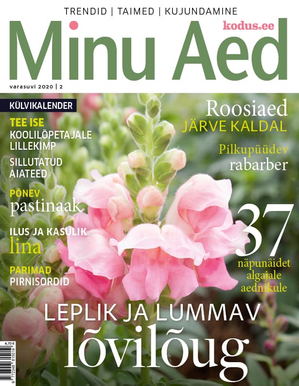 MINU AED SUVI 2020
