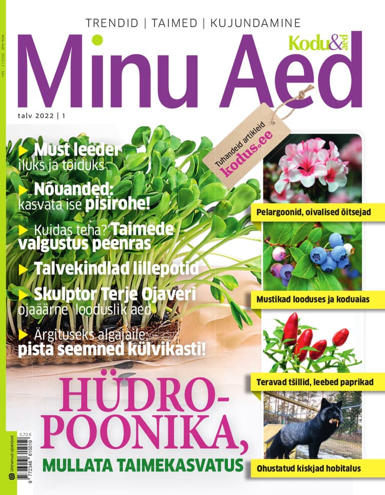 MINU AED TALV 2022