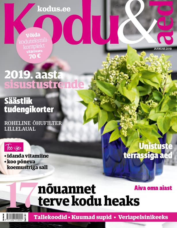 KODU&AED JAANUAR 2019