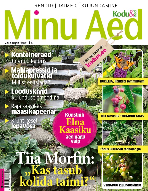 MINU AED SÜGIS 2021