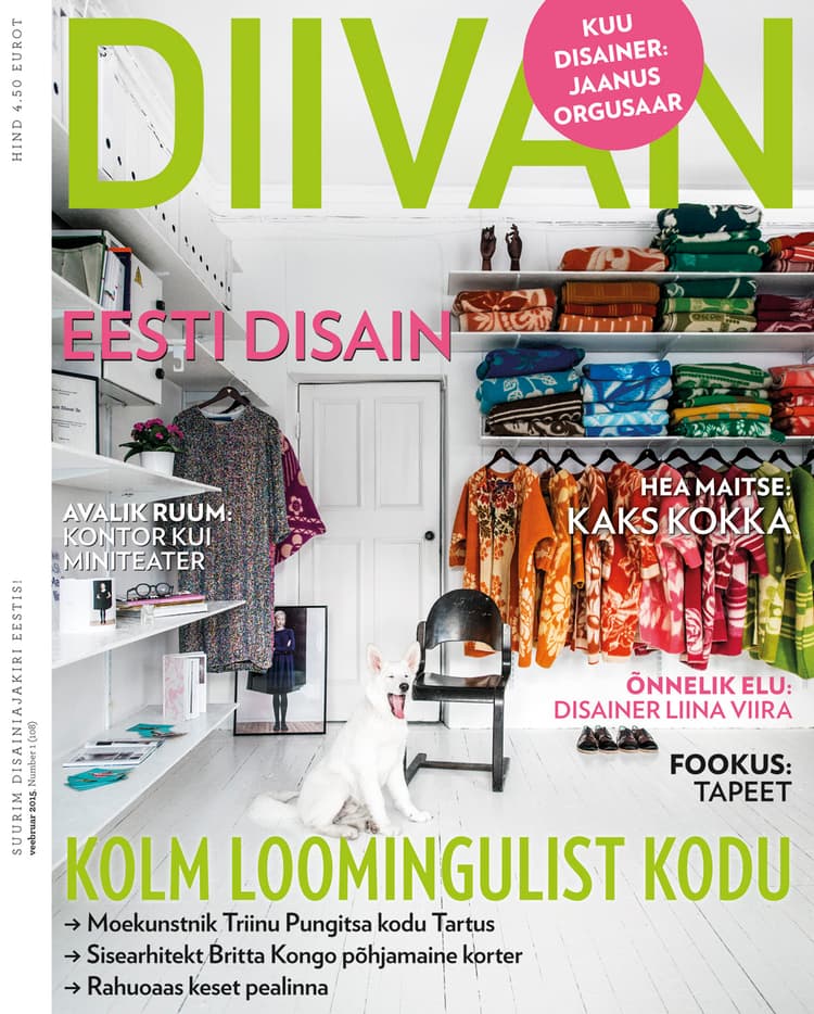 Diivan veebruar 2015