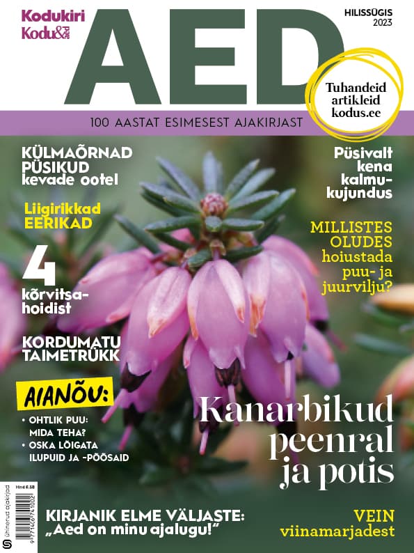 AED HILISSÜGIS 2023