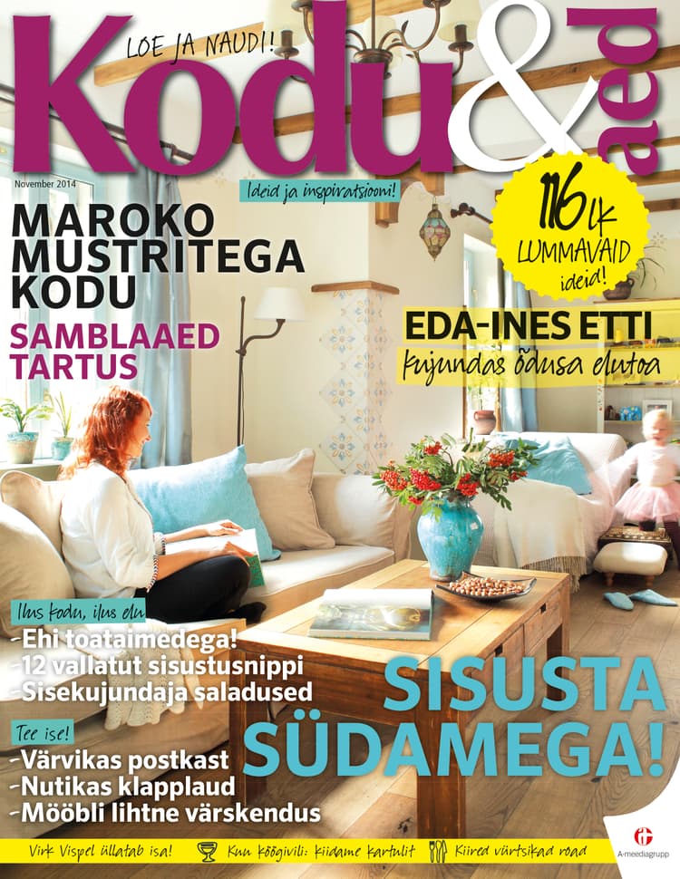 Kodu & Aed november 2014