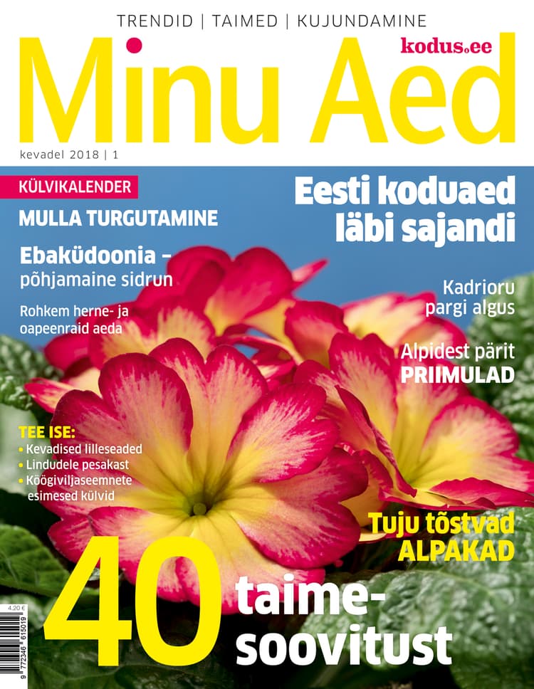 MINU AED KEVAD 2018