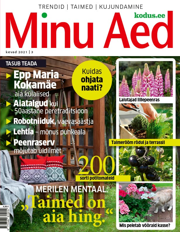 MINU AED KEVAD 2021