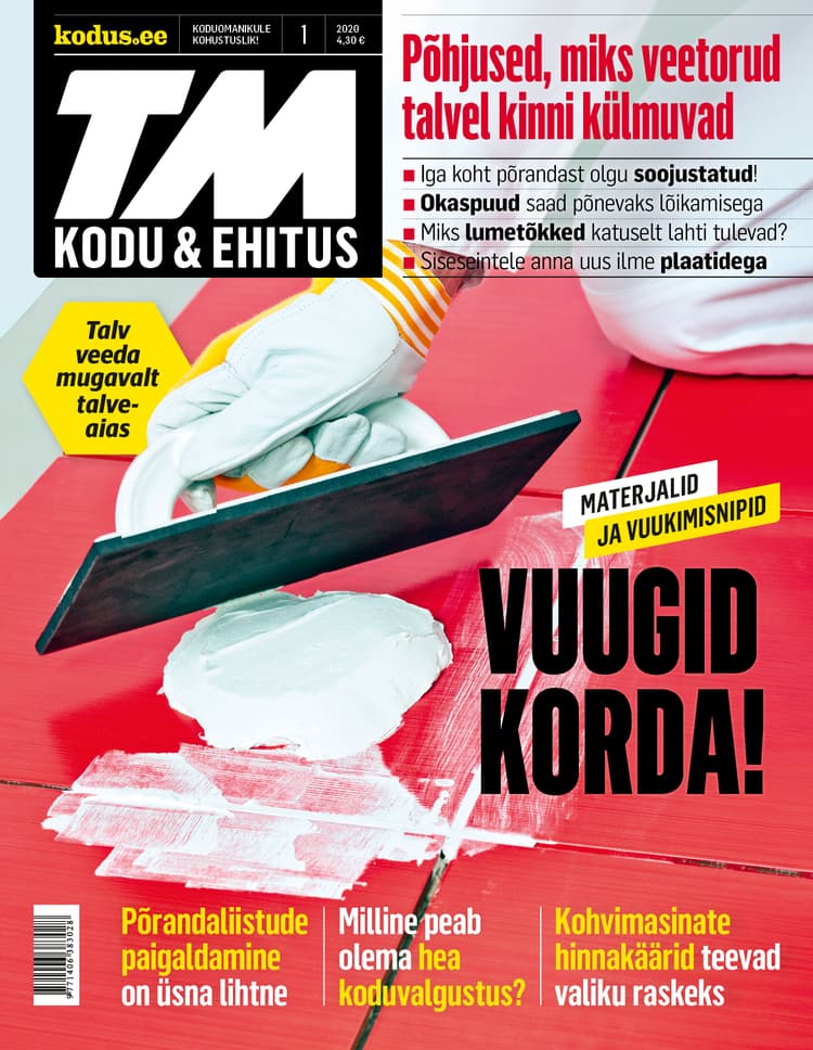 TM KODU&EHITUS JAANUAR 2020