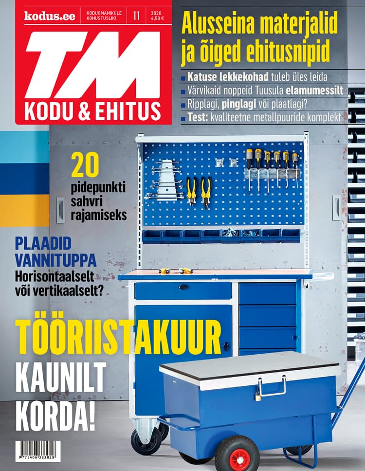 TM KODU&EHITUS NOVEMBER 2020