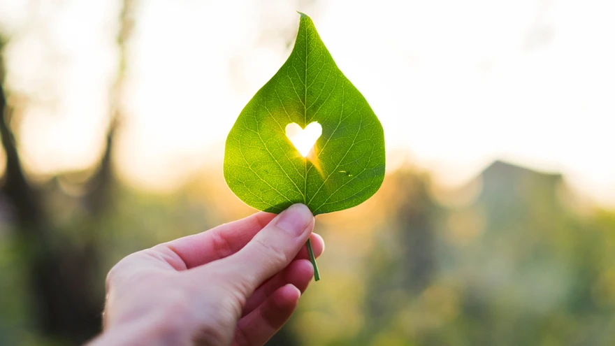 Südamelihasepõletikku võivad tekitada mitmed erinevad asjad. 