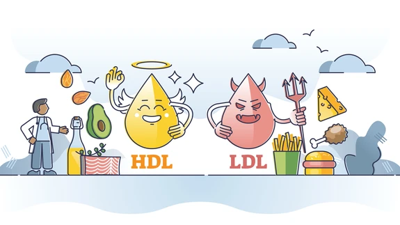 Halb ehk LDL-kolesterool koguneb veresoonte seintele ja halvimal juhul tekib sulgus.