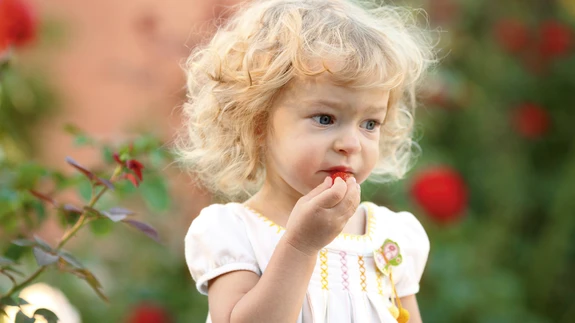 Atoopilise dermatiidiga võib kaasneda toiduallergia