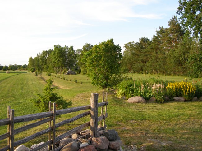 Kadakased karjamaad kuuluvad Saaremaa talude juurde – eemalt paistab ka põllust väljaveetud hiiglaslik kivi. home-garden