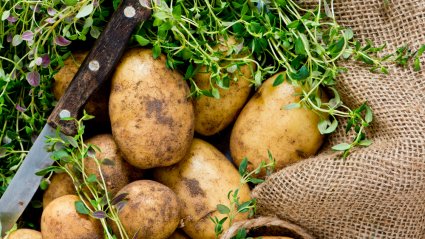 potato, thyme